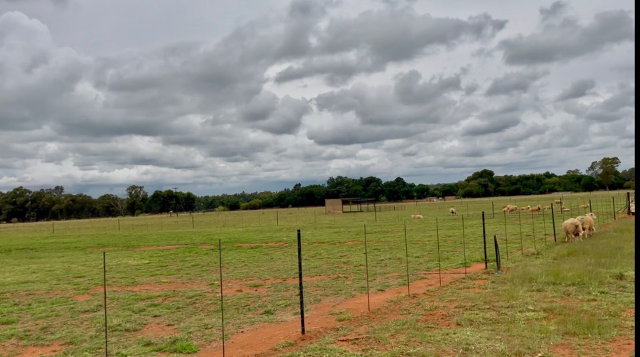 3 Bedroom Property for Sale in Bainsvlei Free State